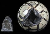 Polished Septarian Puzzle Geode - Black Crystals #57654-3